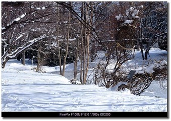 DSCF0763