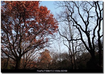 DSCF1747