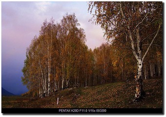 IMGP1669