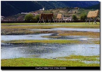 DSCF9634
