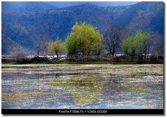 DSCF9629