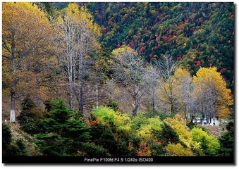 DSCF9568