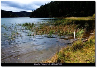 DSCF9934