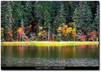 DSCF9875