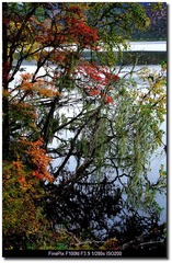 DSCF9820
