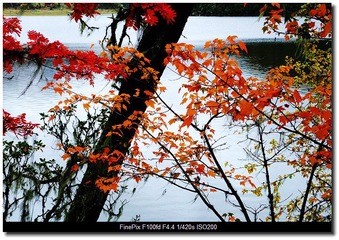 DSCF9808