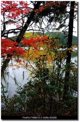 DSCF9806