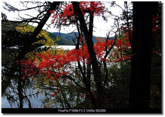 DSCF9805