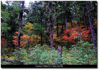 DSCF9792