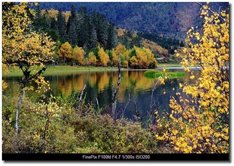 DSCF9786