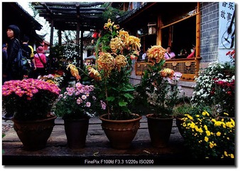 DSCF0193