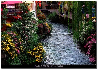 DSCF0178