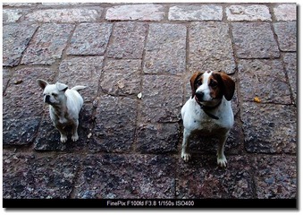 DSCF0161