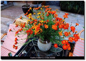 DSCF0133