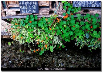 DSCF0106