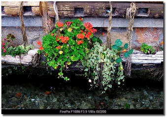 DSCF0089