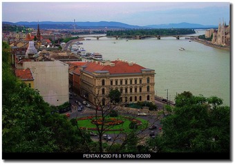 IMGP0954
