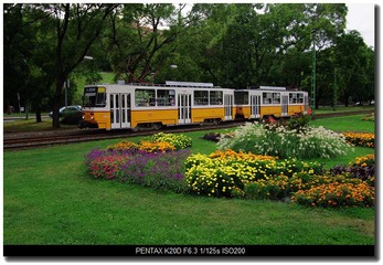 IMGP0934