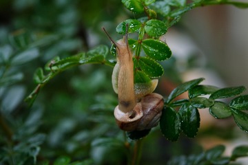 IMG_3869.JPG