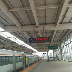 1291529