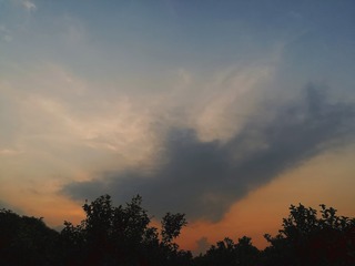 1313540