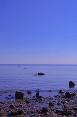 7D98FE0F-E418-4676-A607-19C9575C4A94/L0/001