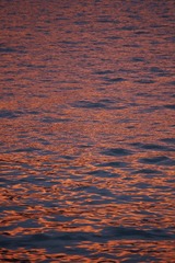 3A1472DB-8CD5-4309-95D9-3E885C17E359/L0/001