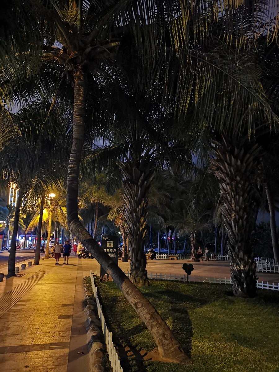 海南 三亚街边夜景 海风椰树