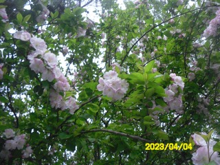 F2024802-18D2-4B0B-818D-8E844E5A04B1/L0/001