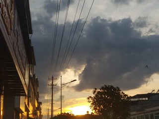 1836382