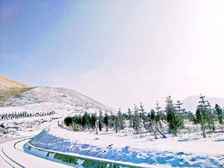 1156DA18-AF0E-43E1-AC6C-155919162103/L0/001