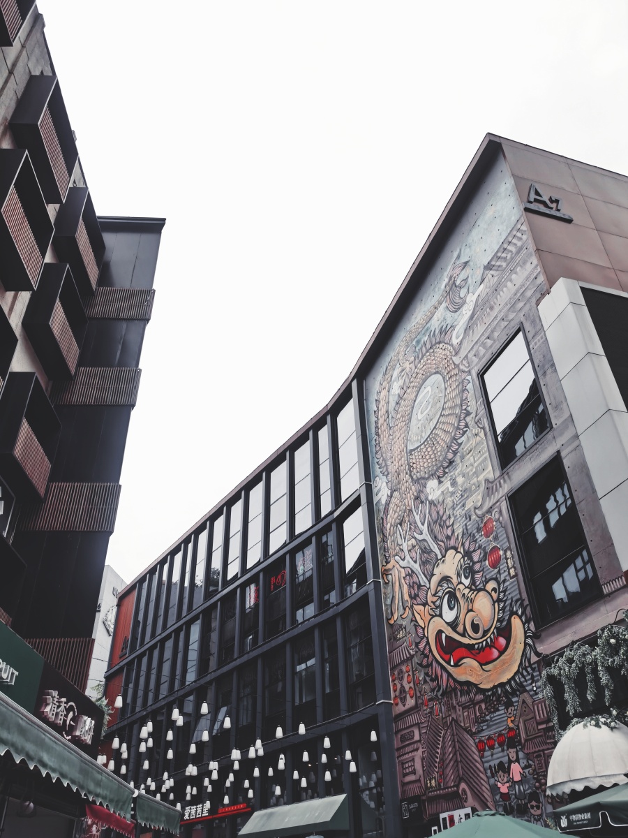 白天的骑龙巷冷静自持寂寥沉默