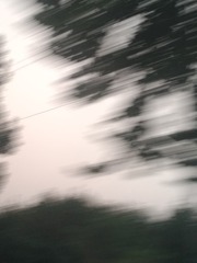 717