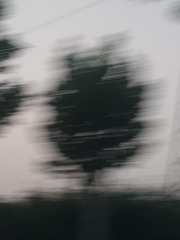 716