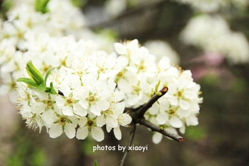 IMG_5603副本副本副本.jpg