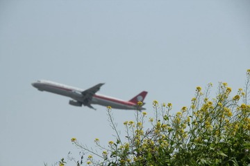 IMG_6226.JPG