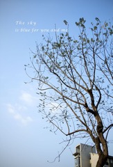 The sky is blue for you and me.jpg