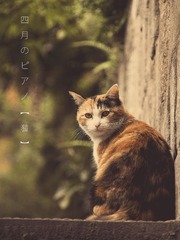 四月のピアノ.jpg