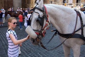 IMG_8813.jpg