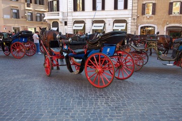 IMG_8928.jpg