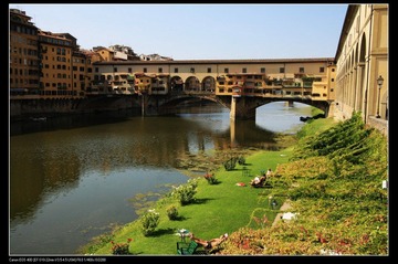 IMG_9574.jpg