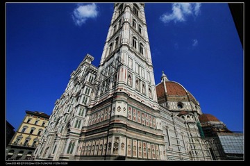 IMG_9596.jpg