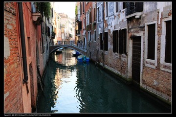 IMG_9835.jpg