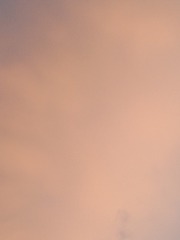 337330