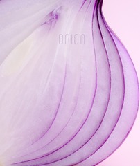 205269A2-834F-496A-B9DA-178EEB733A01/L0/001