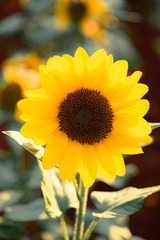 6F773E25-3B14-4869-ADEC-120F7E0FD4ED/L0/001