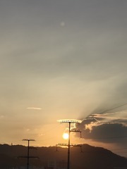 1000003028