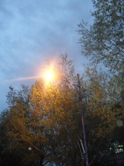 SAM_0887
