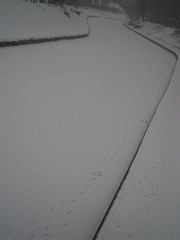 SAM_0421