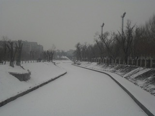 SAM_0423